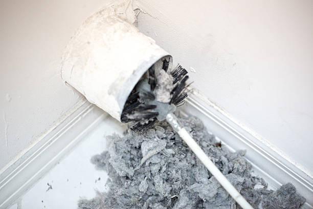 Best Affordable HVAC Duct Cleaning  in Elfers, FL